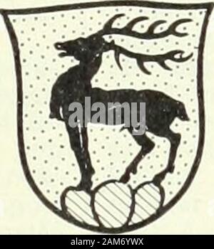 Wörterbuch historique & biographique de la Suisse: publié avec la Empfehlung de la Société générale Suisse d'histoire et sous la Direction de Marcel Godet, Henri Türler [et] Victor Attinger avec de nombreux collaborateurs de tous les Kantone. Stockfoto