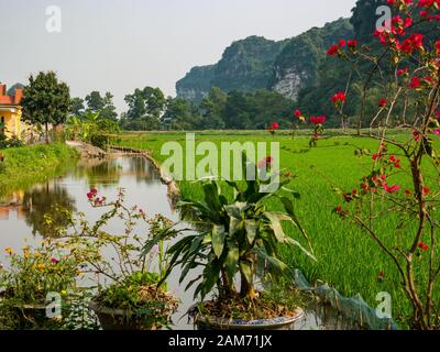 Reisfeld mit Bewässerungskanal und Kalkkarstgebirge, Tam Coc, Ninh Binh, Vietnam, Asien Stockfoto