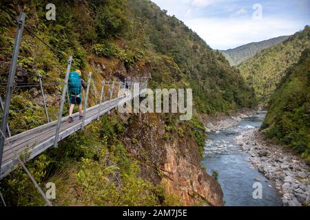 Gehen Sie auf der Old Ghost Road, Neuseeland: Auf halbem Weg zwischen Mokihinui Forks und Seddonville Stockfoto