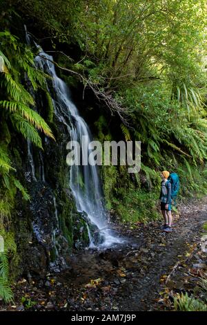 Gehen Sie auf der Old Ghost Road, Neuseeland: Auf halbem Weg zwischen Mokihinui Forks und Seddonville Stockfoto