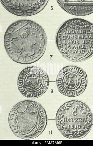 Wörterbuch historique & biographique de la Suisse: publié avec la Empfehlung de la Société générale Suisse d'histoire et sous la Direction de Marcel Godet, Henri Türler [et] Victor Attinger avec de nombreux collaborateurs de tous les Kantone. Stockfoto