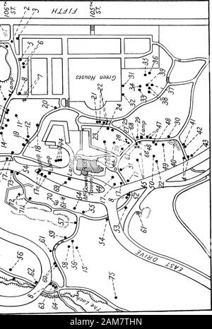 Bäume und Sträucher auf den Central Park. § T^T^r^ Hijfj §^. Erklärungen, Karte Nr. 15 Common Name 1. Lombardei Pappel. 2. Stift Eiche. 3. Amerikanische buche. 4. Honig Heuschrecke. 5. Türkei Eiche. 6. Cottonwood, Carolina Pappel. 7. Vielen blühenden Rose. 8. Amerikanische Eiche, Hainbuche, Blau, Buche, WaterBeech. 9. Ash-leaved Ahorn, Box Elder. 10. Silverbell Baum. 11. Chinesische Korkeiche. 12. Gestreifte Ahorn, Elche - Holz, Whistlewood. 13. White Mulberry. 14. Lila-leaved Englisch Elm. 15. Spitzahorn. 16. Europäische Birke. 17. Black Walnut. oder Shellbark Shagbark Hickory. Hackberry, Sugarberry gehandelt, Brennessel Baum. Amerikanische Linden, Bass - Holz Stockfoto