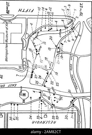 Bäume und Sträucher auf den Central Park. Erklärungen, Karte Nr. 9 3-4-S-6. 7-8. 9-lO. Ii. 12. 13-14-ist-ich 6. 17-i 8.19. 20.21. 22.23 - 24. 25 - 26. 27. 28.29 3°-31 - 32 - Common Name Cockspur Thorn. Acanthopanax. Stift Eiche. Spitzahorn. American oder Weiß Elm. Thunbergs Berberitze. Japan Schneeball. Englisch Eiche. Zwerg oder Japan, Bunges Catalpa Catalpa. Türkei Eiche. Europäische Linden. Josika Flieder. Arrowwood. Europäische Wayfaring Baum. Ramanus Rose, JapanRose. Mock Orange oder SweetSyringa (Golden-Leaved). Japan Ahorn. Schwarz Haw. Amerikanische Eiche, Hainbuche, Blau, Buche, WaterBeech. Englisch Elm. Die Buche. Trauerweide. Sumpf Stockfoto