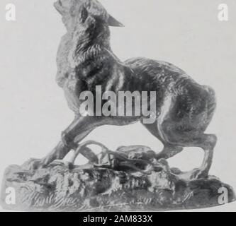 Bebilderte Katalog der Kunstschätze der bekannte Kenner gesammelt, der späte Cyrus JLawrence, Esq., New York. 287 - (69) - Wolf Takex im Falle. Die Basis. Barve. Antike grüne Patina. Eine der Themost bewundert von Baryes figurinesof wilde Tiere. Es ist ein selten erregt Mitgefühl animalthat incountries, wo Schafe, Kälber und fowlssuccumb poultryand manchmal auf seine Angriffe: Aber thesculptor ist in der Lage gewesen, usfeel Schade, sogar für die graue skulkerround den Herden zu machen. Die Aktion, themodeling, sind hervorragend. Eine seemsto hören die Angst der Heulen. Höhe, 41., Zoll J Länge, 5% Zoll. 2 Stockfoto