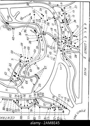 Bäume und Sträucher des Central Park. V&INJO J^ Erläuterungen, Karte Nr. 2 Gemeinsamer Name 1. Gemeine Horsekastanie. 2. Englische Elm. 3. Europäische Silberlinden. 4. Europeaji Kupfer-Buche. 5. Spicebush. 6. Oleaster oder Wild Oliv. 7. Europäische Weiße Birke. 8. Ninebark. 9. Verschneite Hydrangea. 10. Roter Ahorn. 11. Scharlachrote Eiche. 12. American oder White Elm. 13. Scotch oder Wych Elm. 14. Kastanieneiche. 15. Englischer Feld-Ahorn. 16. Scharlachrot-fruchtiges Thorn. 17. Sibirischer Krabbenapfel. 18. Cottonwood oder Carolina Poplar. 19. Amerikanische Hainbuche, Blaue Buche, Wasserbuche. 20. Thunbergs Barberry. 21. Fly Honeysuckle. 22. Kentucky Kaffee Stockfoto