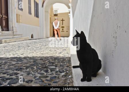 Schwarze Katze im Inneren der Kathedrale St. Johannes der Täufer. Fira, Stantorini. Griechenland Stockfoto