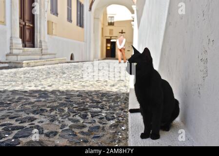 Schwarze Katze im Inneren der Kathedrale St. Johannes der Täufer. Fira, Stantorini. Griechenland Stockfoto