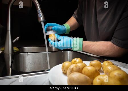 Zum Kochen Kartoffeln waschen und spülen. Modell mit blauen wiederverwendbaren Gummihandschuhen mit Anti-Tropfmanschette. Stockfoto