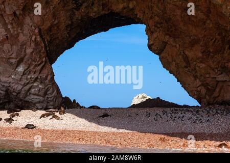 Groß durch die Grotte mit einem Strand, an dem Seelöwen liegen. Durch die Grotte sehen Sie den blauen Himmel und die Vögel am Himmel Ballestas-Inseln, Paracas Stockfoto