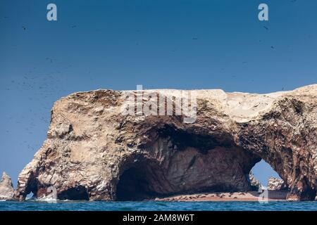 Seelöwe und Pinguin-Rookery am Strand in der Grotte der Ballestas-Inseln im Paracas-Nationalpark, Peru, Lateinamerika. Stockfoto