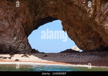 Groß durch die Grotte mit einem Strand, an dem Seelöwen liegen. Durch die Grotte ziehen Vögel am Himmel Ballestas-Inseln, Paracas RESE, Peru, Lateinamerika. Stockfoto