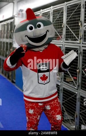 Januar 2020, London Ontario Canada und der Western Fair Sports Complex. Nach 3 Tagen und 9 Locken führt das Team Europa 20,5 - 6,5 über das Team Canada im Continental Cup 2020. Curling Canada Mascot Slider mit einer Tasse Tim Hortons Luke Durda/Alamy Live News. Stockfoto
