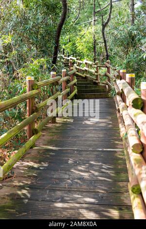 Die Holzbrücke führt mit Anlagen auf beiden Seiten in den Park. Stockfoto