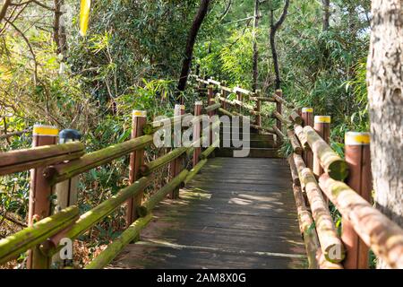 Die Holzbrücke führt mit Anlagen auf beiden Seiten in den Park. Stockfoto