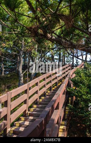 Die Holzbrücke führt mit Anlagen auf beiden Seiten in den Park. Stockfoto