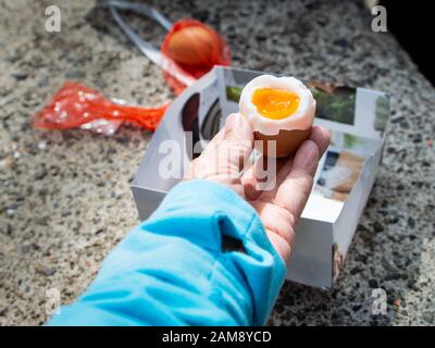 Onsen Tamago oder Heißfrühling-Eier, gekocht in den fast kochenden, mineralreichen Gewässern in der speziell dafür eingerichteten Kochzone Yuzutsu, die sich unten befindet Stockfoto