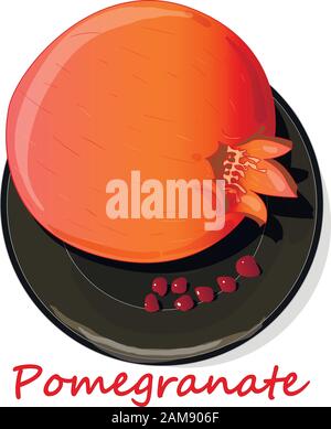 Granatapfel-Hand-erdrossene Vektorgrafiken isoliert auf weißem Hintergrund. Stock Vektor