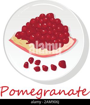 Granatapfel-Hand-erdrossene Vektorgrafiken isoliert auf weißem Hintergrund. Stock Vektor