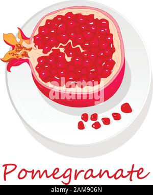 Granatapfel-Hand-erdrossene Vektorgrafiken isoliert auf weißem Hintergrund. Stock Vektor