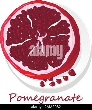 Granatapfel-Hand-erdrossene Vektorgrafiken isoliert auf weißem Hintergrund. Stock Vektor