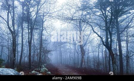 Nebliger Blick auf den Cheaha State Park, Alabama USA Stockfoto