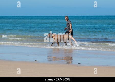 Adelaide, Australien. Januar 2020. Ein Mann, der seinen Hund am Strand im Küstenvorort Henley an einem sonnigen warmen Tag spazieren ließ: Amer Ghazzal/Alamy Live News Stockfoto