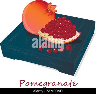 Granatapfel-Hand-erdrossene Vektorgrafiken isoliert auf weißem Hintergrund. Stock Vektor