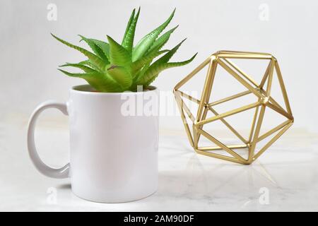 Ein weißer 11 oz Kaffeebecher hält eine Aloe Vera-Pflanze, während eine abstrakte Goldplastik den Hintergrund aufklammt. Füge dein eigenes Design zur Tasse hinzu. Stockfoto