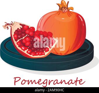 Granatapfel-Hand-erdrossene Vektorgrafiken isoliert auf weißem Hintergrund. Stock Vektor