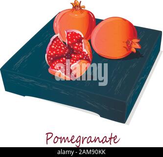 Granatapfel-Hand-erdrossene Vektorgrafiken isoliert auf weißem Hintergrund. Stock Vektor