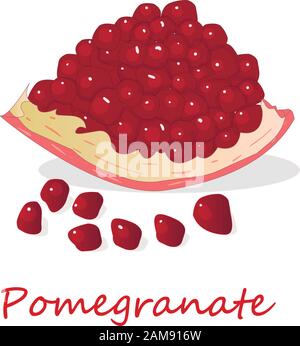 Granatapfel-Hand-erdrossene Vektorgrafiken isoliert auf weißem Hintergrund. Stock Vektor