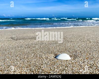 Tropischer Strand mit Muscheln im Vordergrund auf dem Sand und verschwommenes Meer, Sommerurlaub, Hintergrund. Reise- und Strandurlaub, Freiraum für Text. Stockfoto