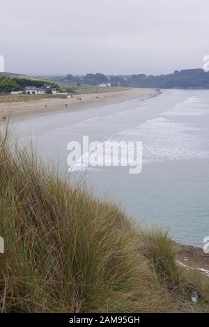 Spazieren Sie durch die Landschaft der Bretagne in Finistere, Frankreich, und entdecken Sie die Flora und Fauna der Wälder Stockfoto