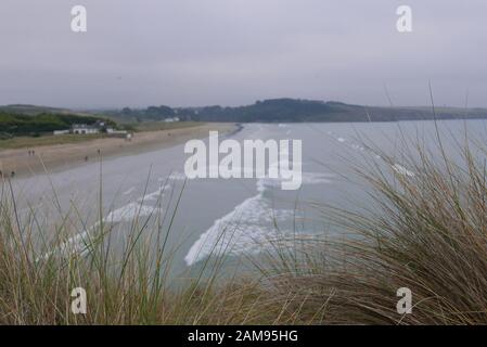 Spazieren Sie durch die Landschaft der Bretagne in Finistere, Frankreich, und entdecken Sie die Flora und Fauna der Wälder Stockfoto