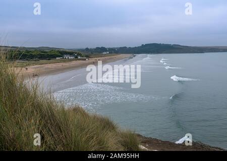 Spazieren Sie durch die Landschaft der Bretagne in Finistere, Frankreich, und entdecken Sie die Flora und Fauna der Wälder Stockfoto