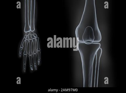 3D-Röntgenfilm für menschliche Hand- und Knieknochen auf schwarzem Hintergrund Stockfoto