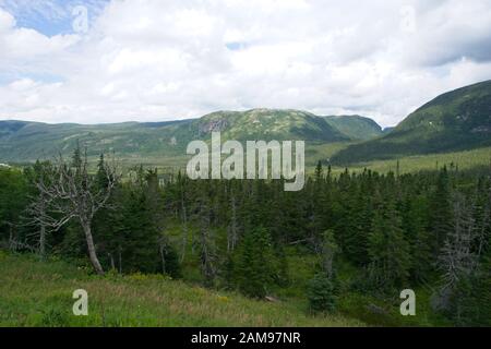 Gros Morne National Park in Neufundland Kanada. Meeresufer, Flüsse, alte Berge Stockfoto
