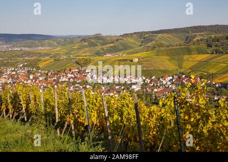 Blick auf die Weinberge und das Weindorf Kernen-Stetten, Baden-Württemberg, Deutschland Stockfoto