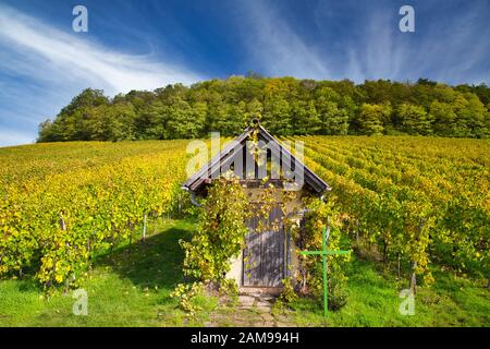 Eine typische Hütte in den Weinbergen in der Nähe von Bretzfeld in Baden-Württemberg, Deutschland. Stockfoto
