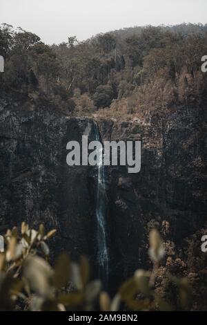 Die Ansicht der Ellenborough fällt über das Tal bei Ellenborough Falls, New South Wales. Stockfoto