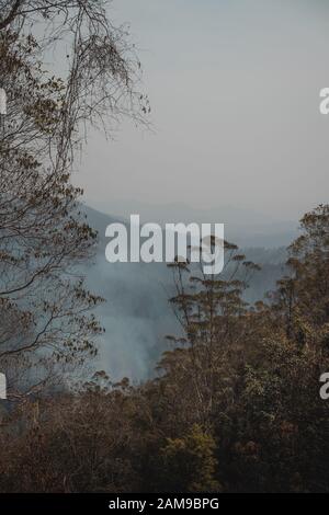 Rauch von einem Buschfeuer füllen ein Tal mit Bergen im Hintergrund Der Elands Bereich sichtbar, New South Wales. Lage Ungefähre. Stockfoto