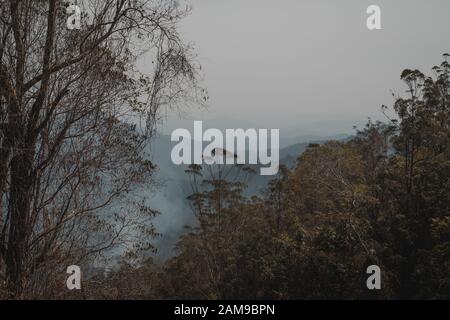 Rauch von einem Buschfeuer füllen ein Tal mit Bergen im Hintergrund Der Elands Bereich sichtbar, New South Wales. Lage Ungefähre. Stockfoto