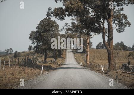 Auf der Suche nach einem Land Schotterstraße in Ackerland Comboyne, New South Wales. NB: Lage Ungefähre. Stockfoto