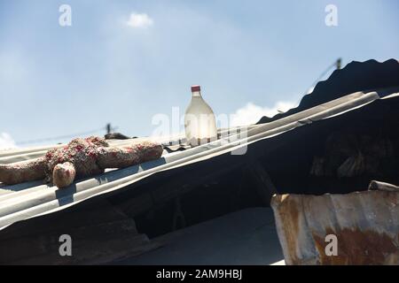 Wellblechdach mit Solar-Klarsichtflasche aus Kunststoff, gefüllt mit Bleichmittel und Wasser, wirkt als natürliche Glühbirne im Gebäude Stockfoto