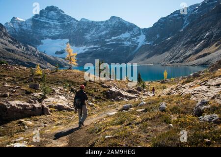 Wandern am Lake O'Hara, Yoho National Park Canada Stockfoto