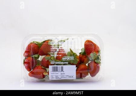 Alberton, Südafrika - ein Behälter mit frischem Woolworths essen Erdbeeren auf einen klaren Hintergrund Bild im Querformat isoliert Stockfoto