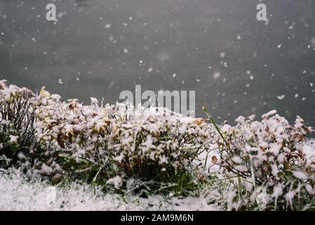 Erster Schnee, Schneeflocken fallen. Verschwommener Hintergrund. Schneefall und der erste Schnee auf der Straße im Winter. Stockfoto