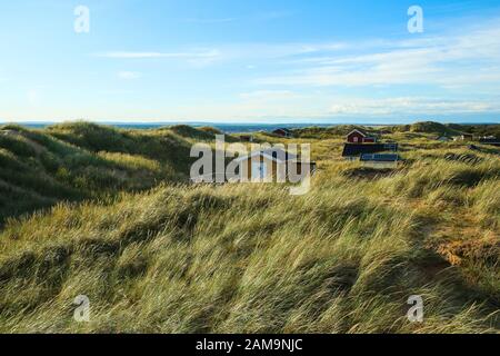 Die traditionellen farbenfrohen Holzhäuschen an der Küste des Meeres in Schweden, versteckt hinter den Dünen. Stockfoto