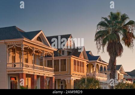 Viktorianische Häuser an der Ball Avenue im East End Historic District, Sunrise, Galveston, Texas, USA Stockfoto