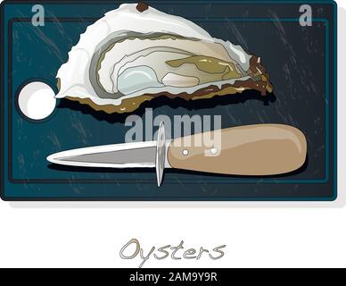 Frisch geöffnete Austern-Vektorbilder auf Platte/Schale isoliert auf weißem Hintergrund. Stock Vektor